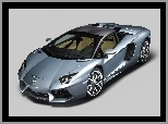 Aventador, Roadster, Lamborghini, LP 700-4