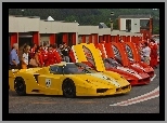 Ferrari FXX, Zlot, Posiadaczy