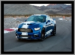 Ford Mustang Shelby Super Snake