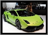 Hostessa, Lamborghini Gallardo