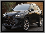 Lexus NX, Czarny