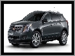 Szyby, Cadillac SRX, Przyciemnione